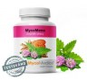 mycomeno-vitalni.761696527 (1)